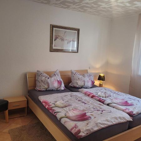 Ferienwohnung Jasmin In Schoenau Bei Heidelberg Fewo 2 Шьонау Екстериор снимка